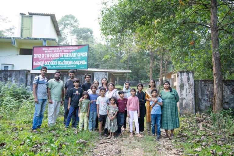 Nature Camp - Wayanad