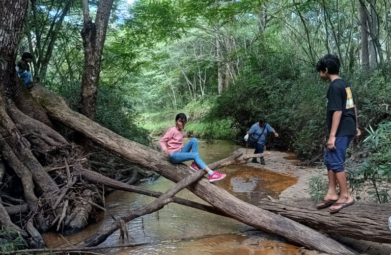 Nature Camp - Wayanad